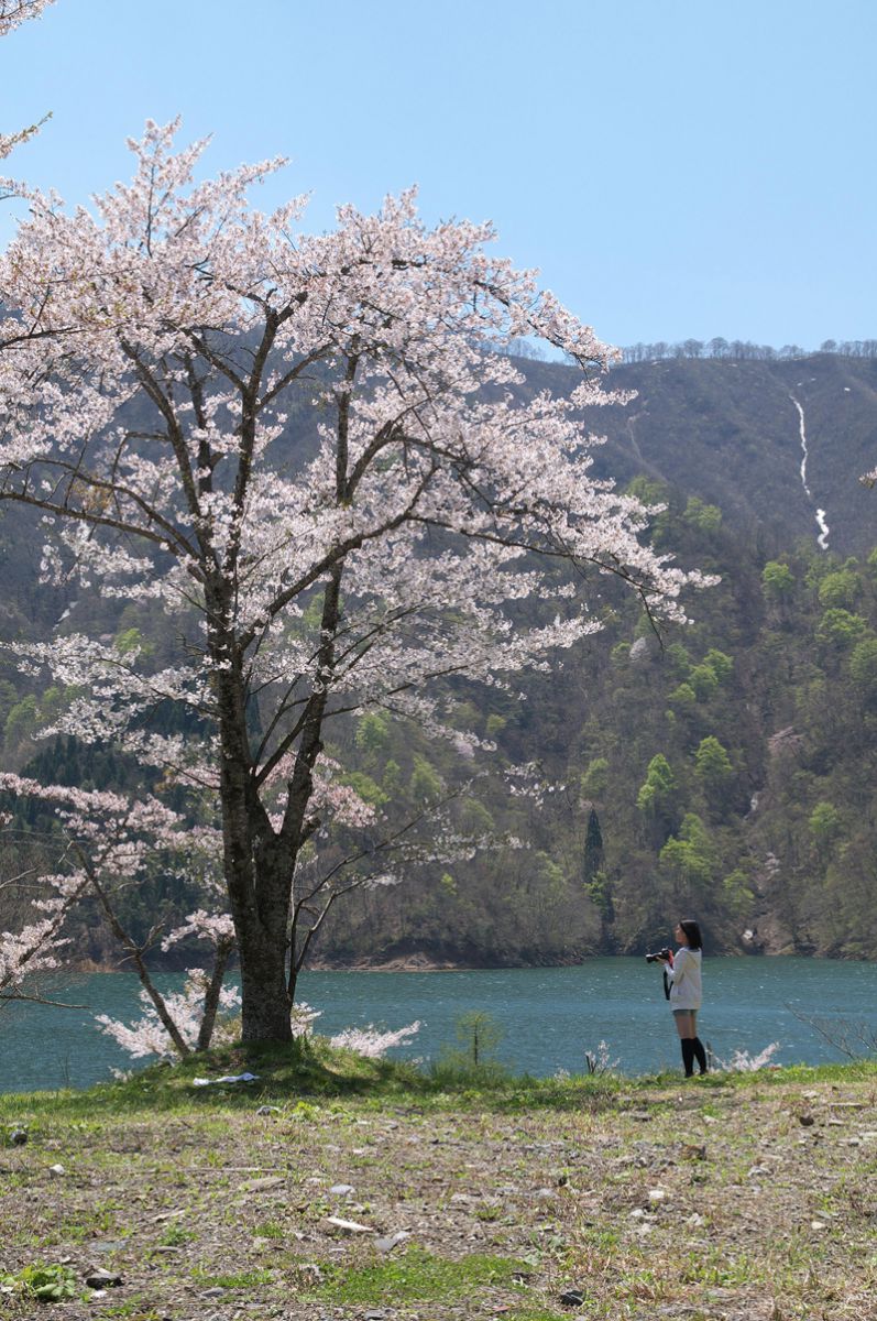 九頭竜湖（福井県）