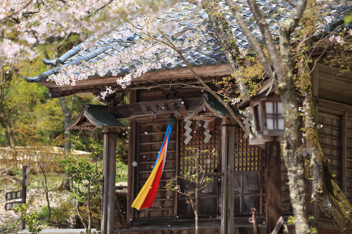 花筐公園