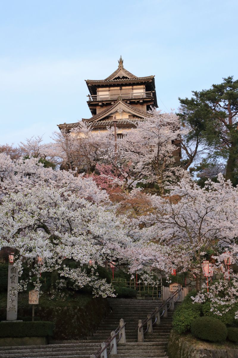 丸岡城（霞ヶ城公園）