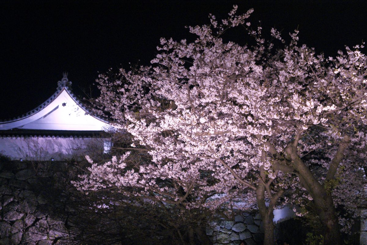 福岡城（福岡県）