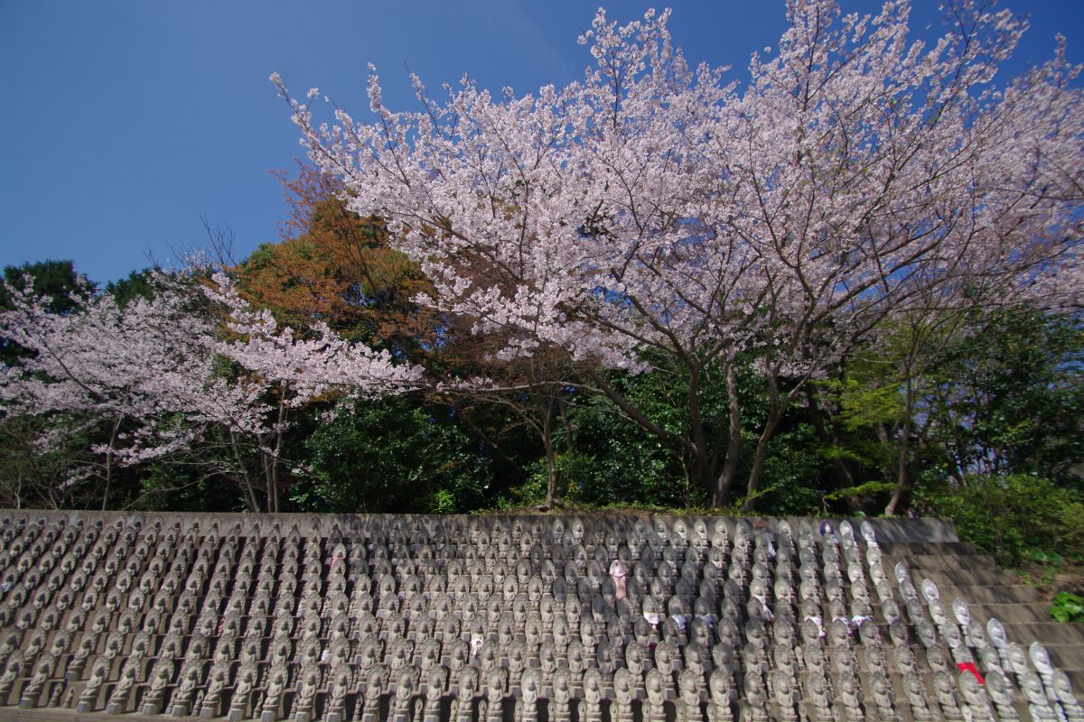 鎮国寺