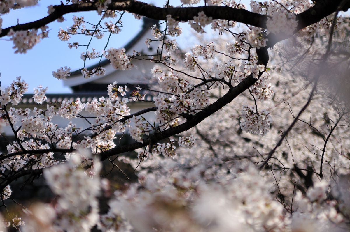 大濠公園（福岡県）