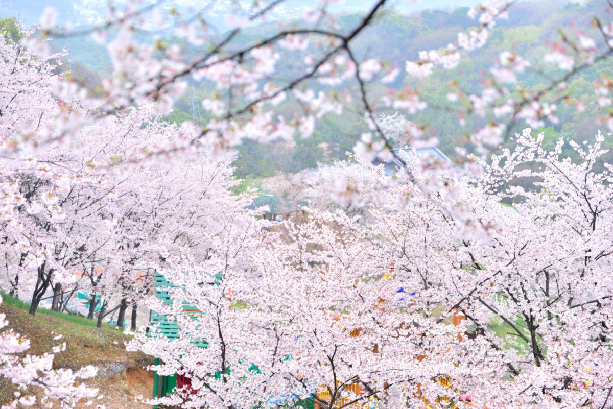 大将陣公園