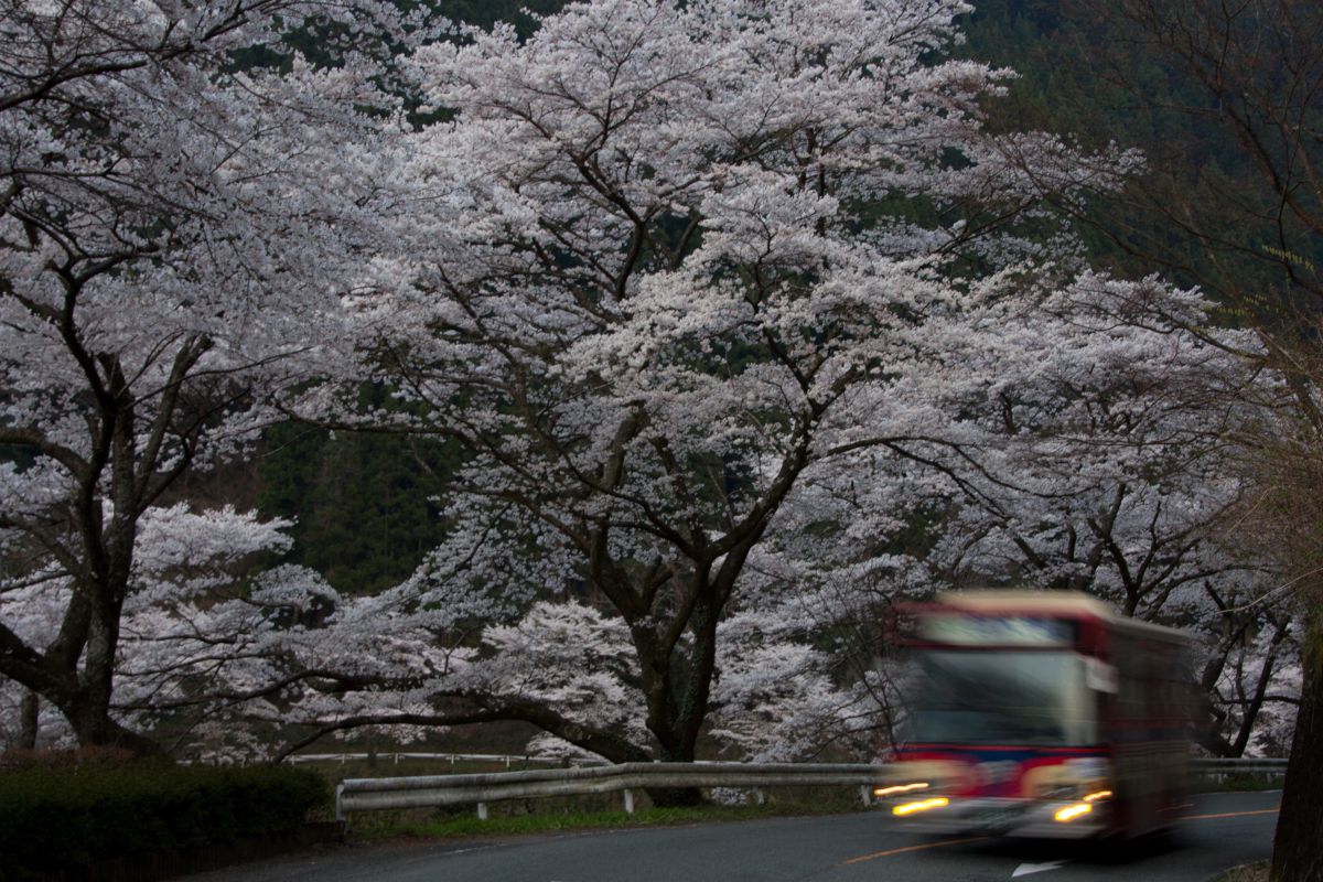 日向神