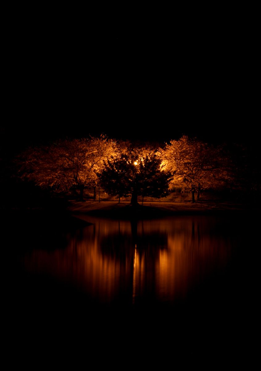 駕与丁公園