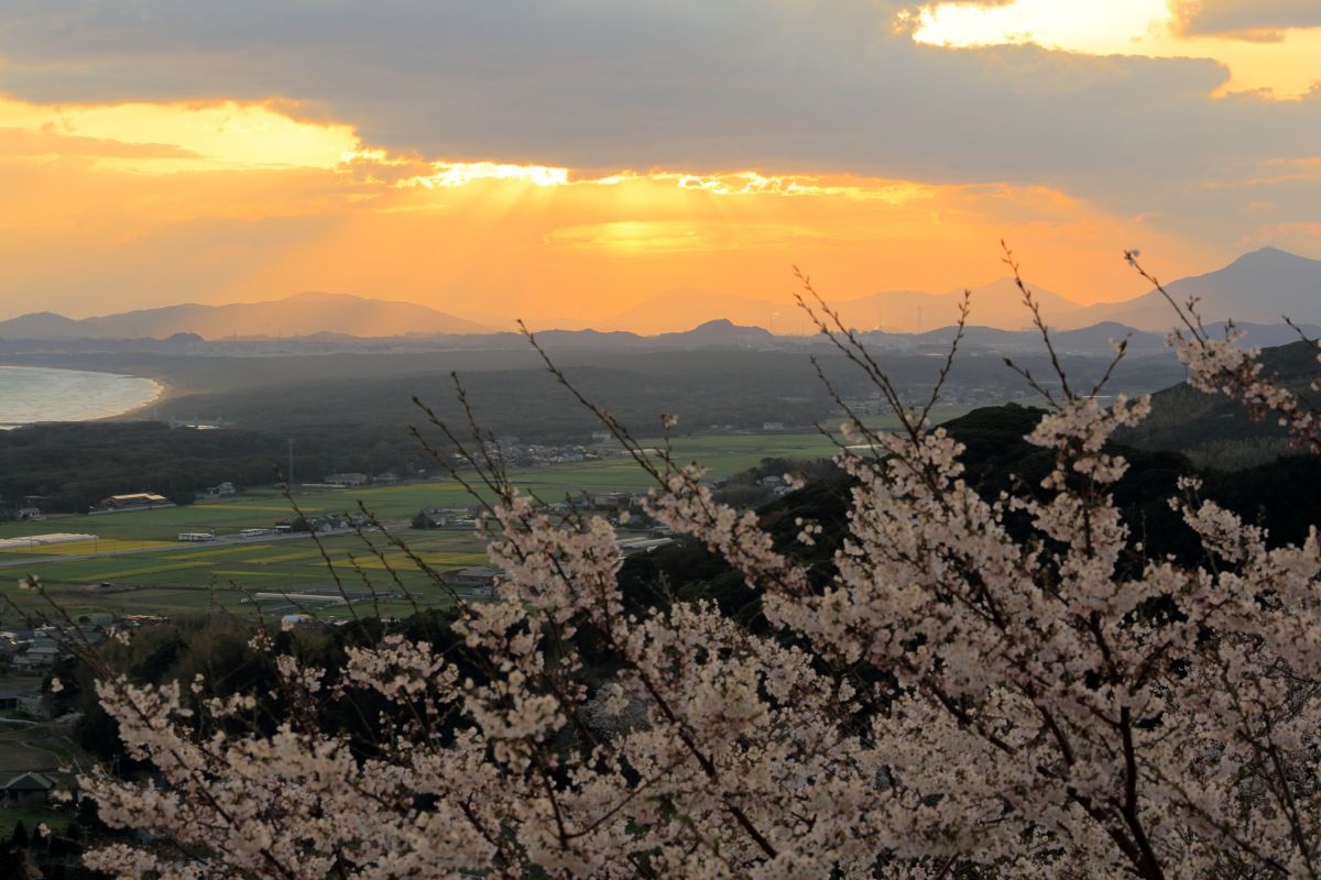 成田山不動寺