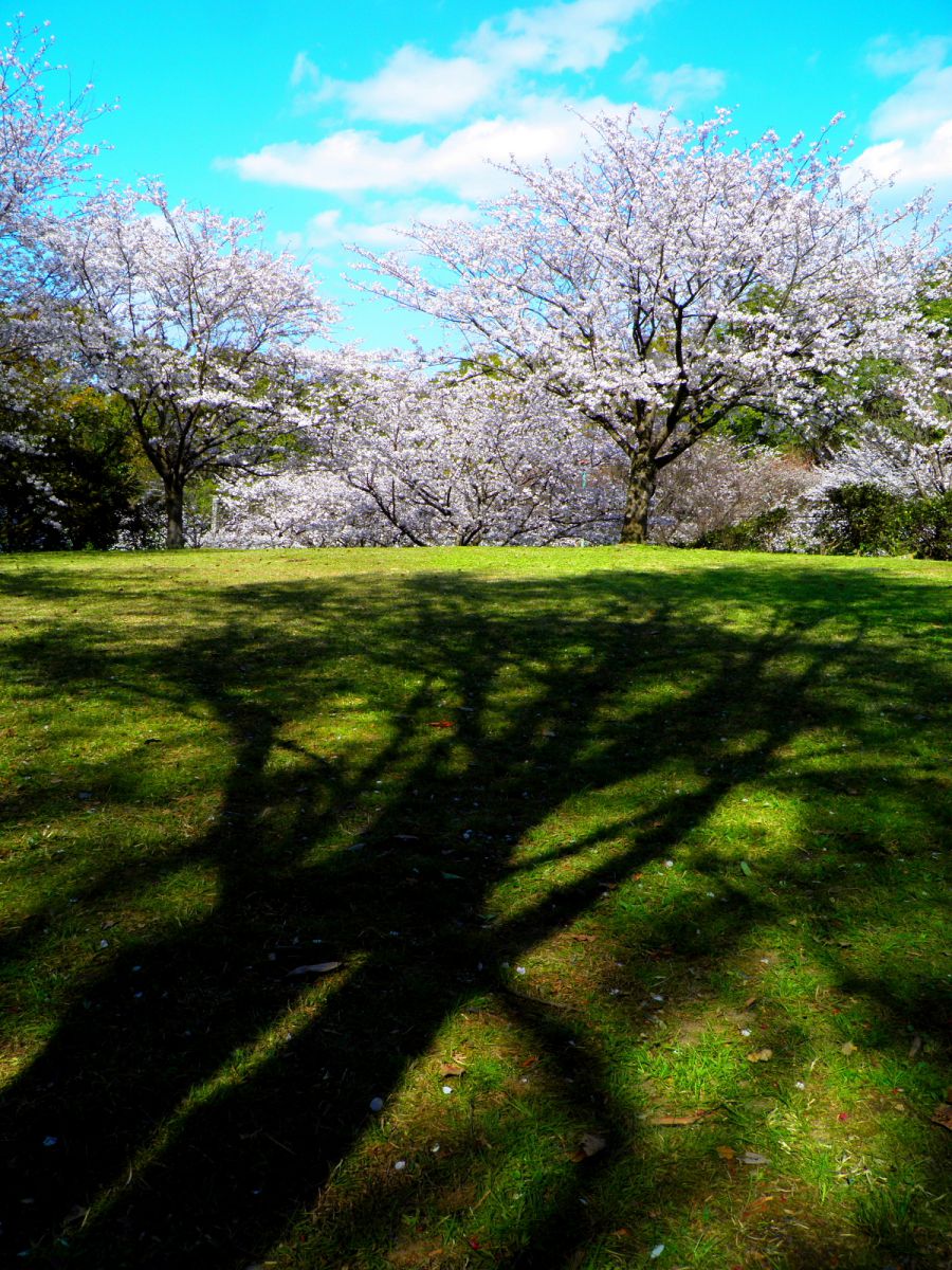 正源氏公園