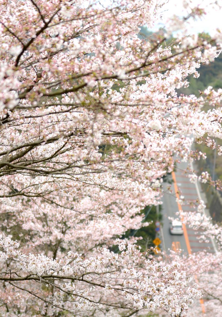 八木山展望公園（福岡県）