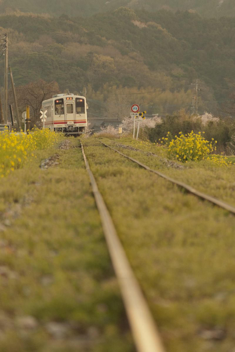 平成筑豊鉄道