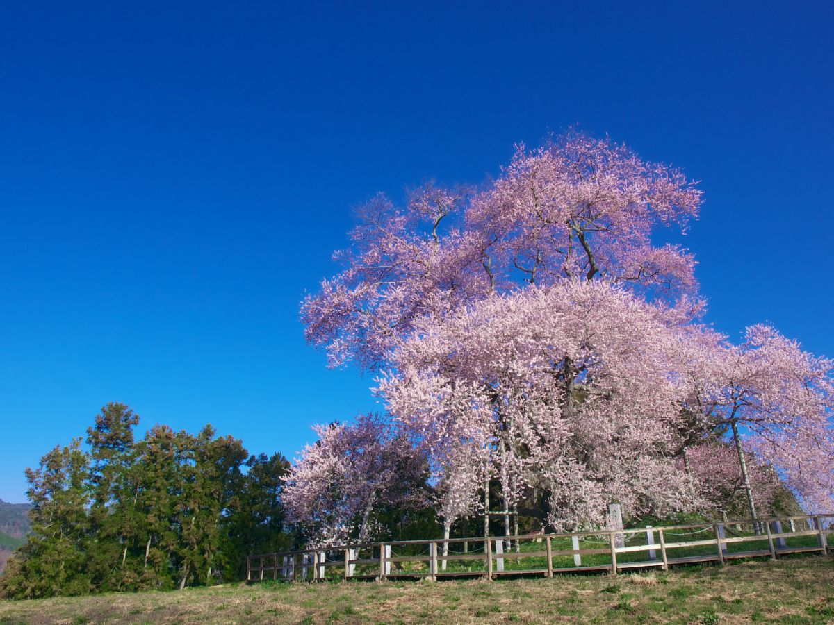 戸津辺（福島県）