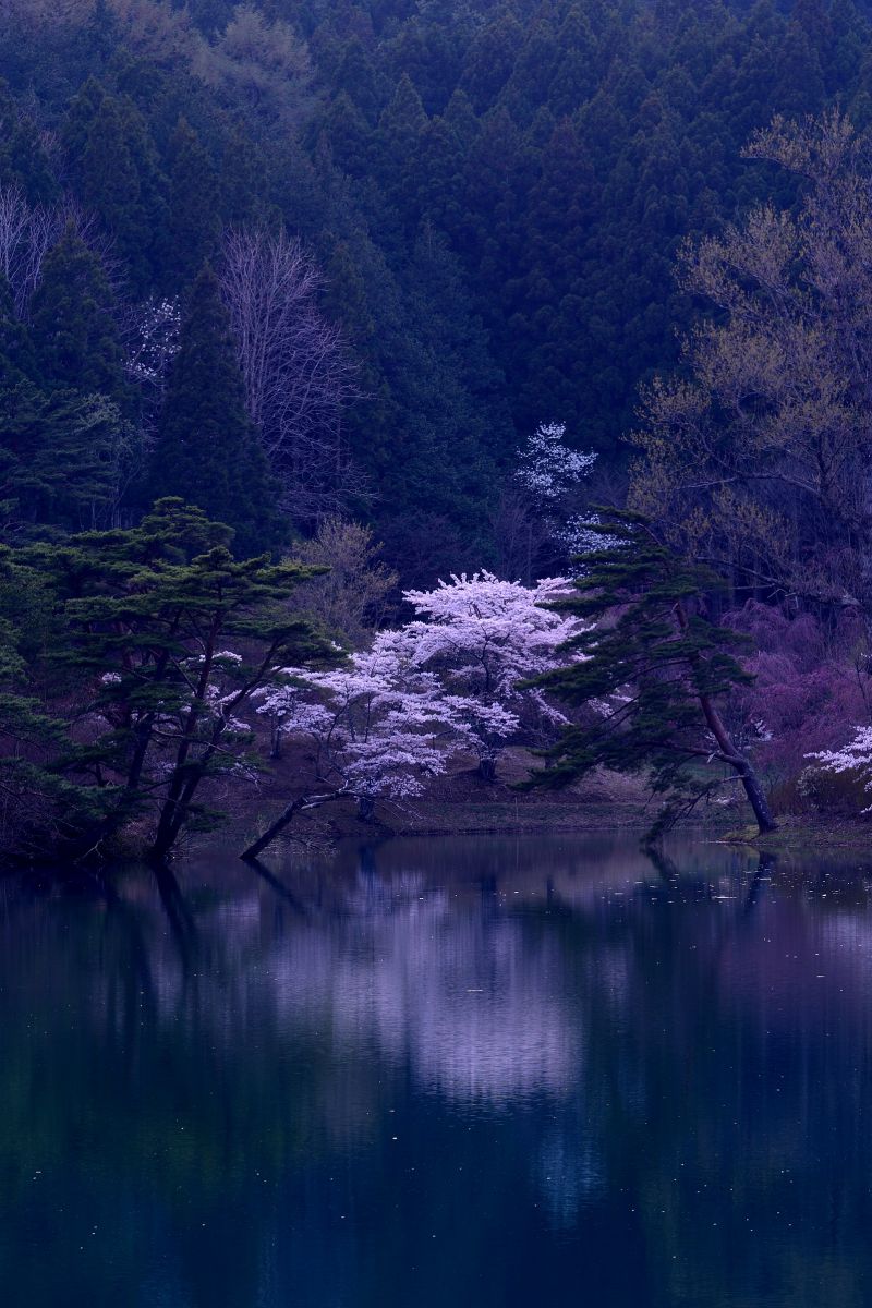 半田山自然公園（半田沼）（福島県）