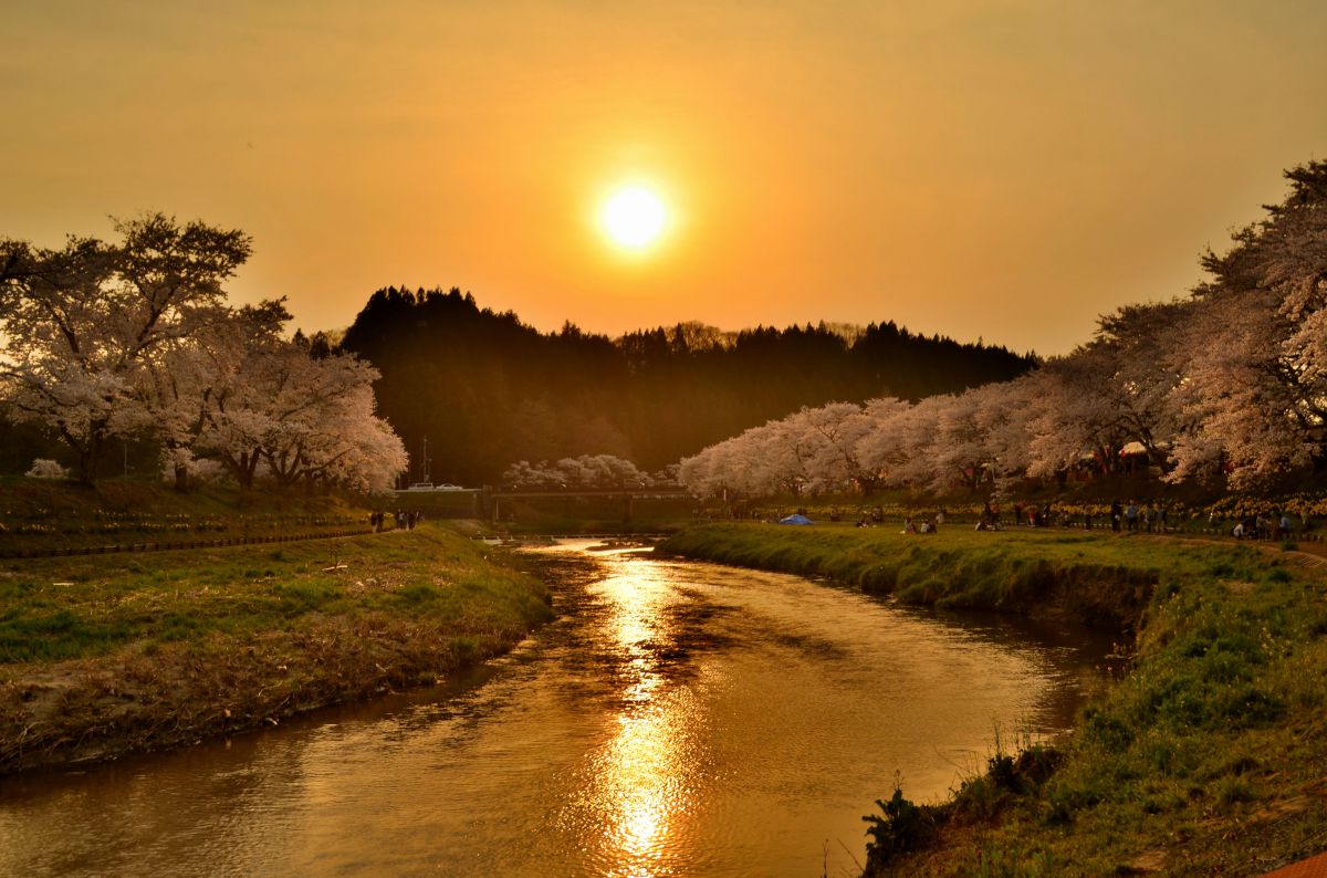 夏井千本桜（福島県）