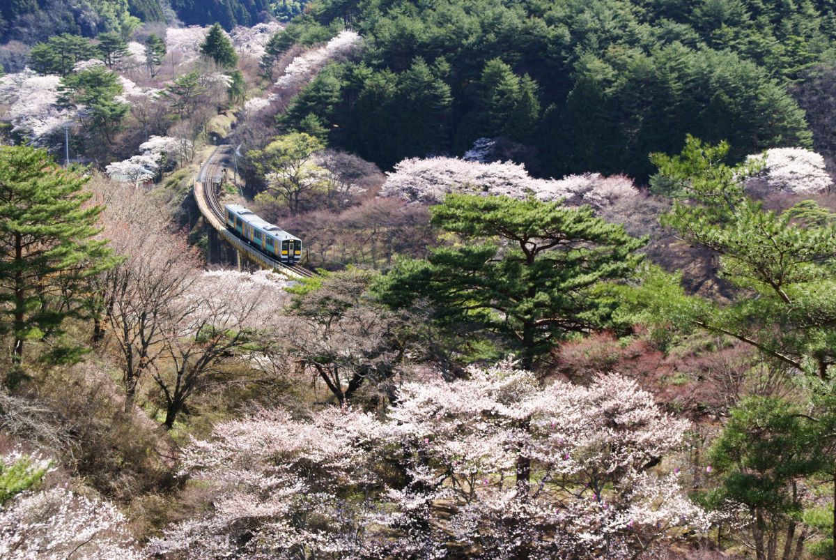 矢祭山（福島県）