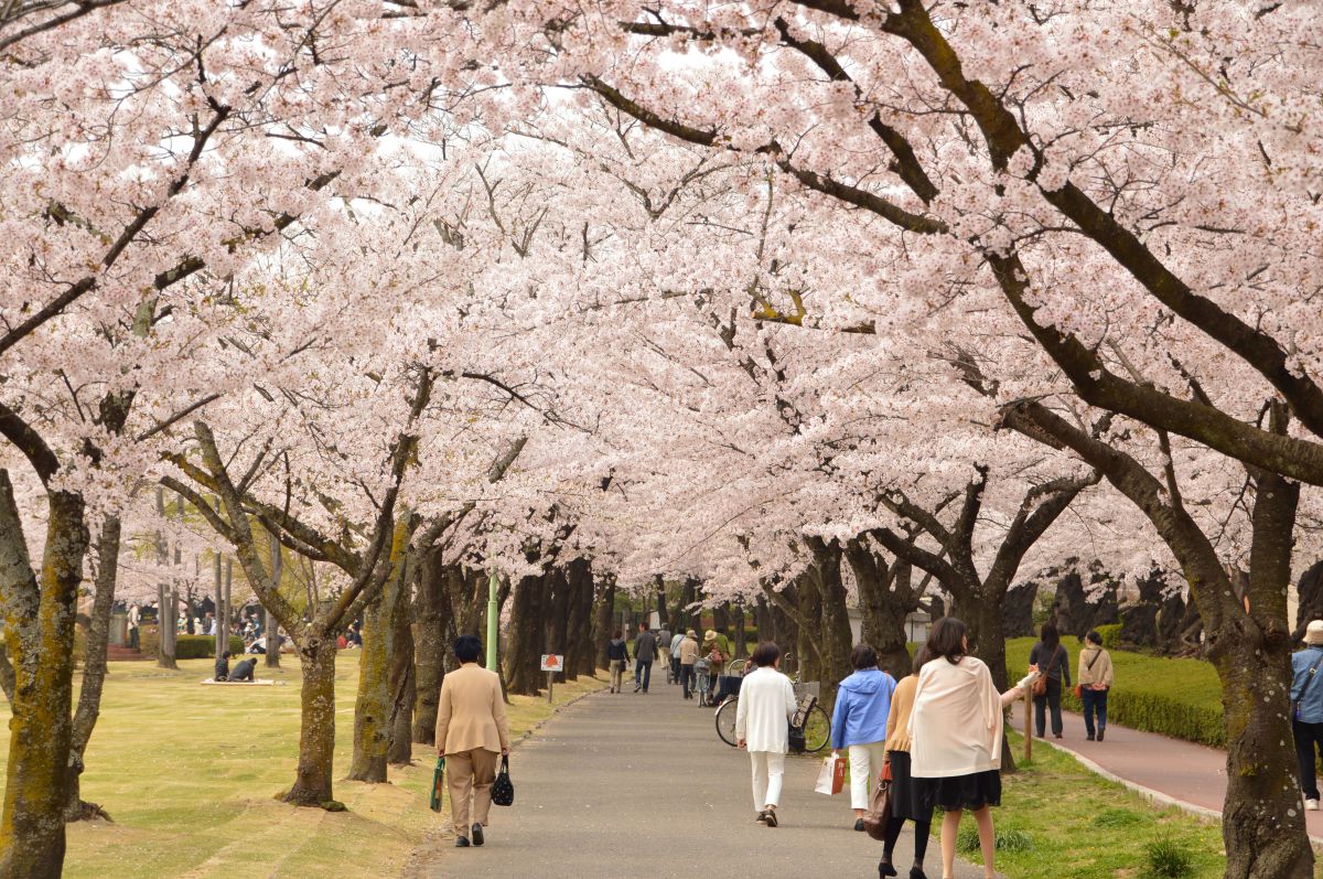 開成山公園（福島県）