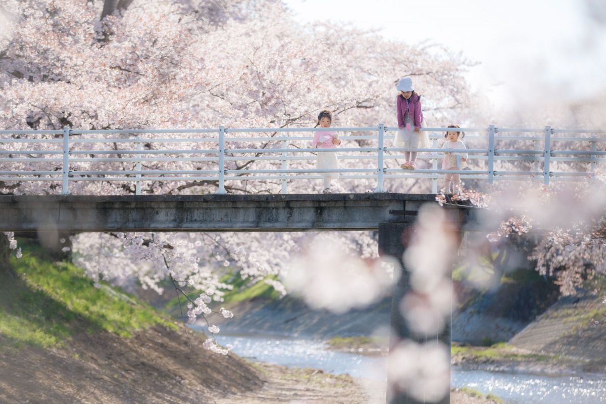 藤田川