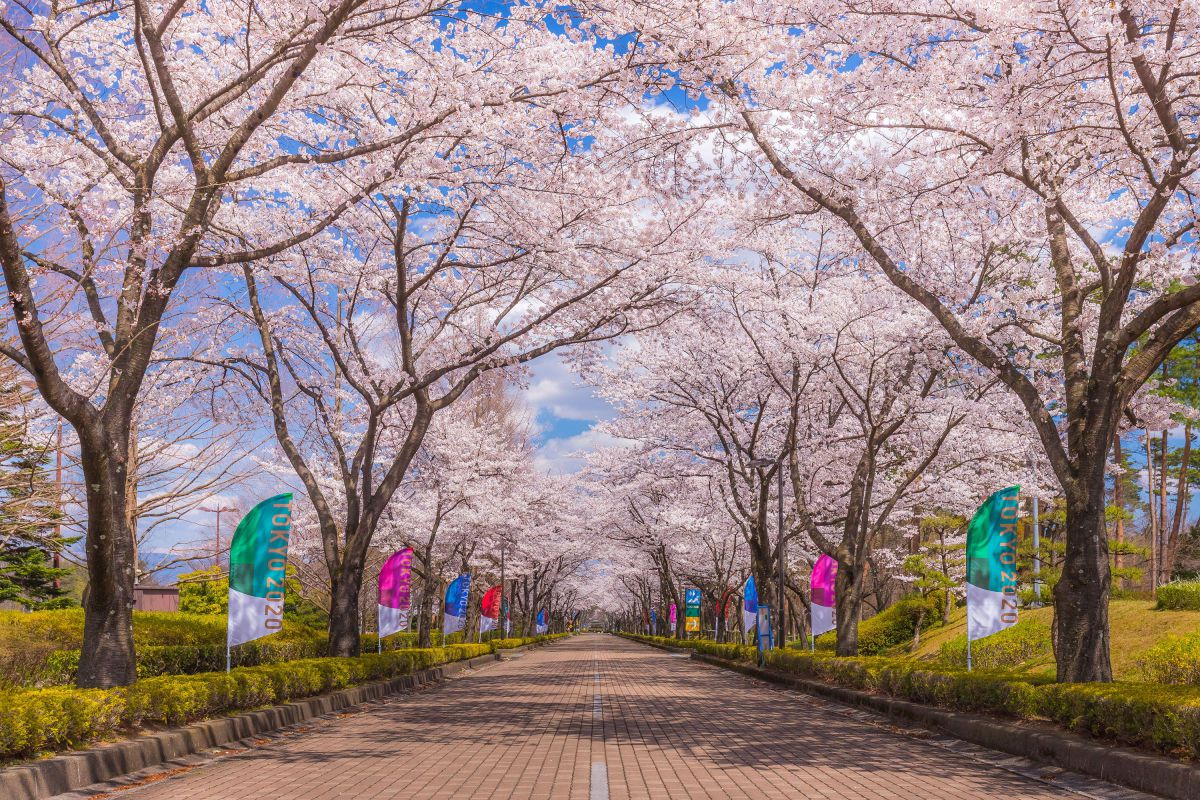 あづま総合運動公園