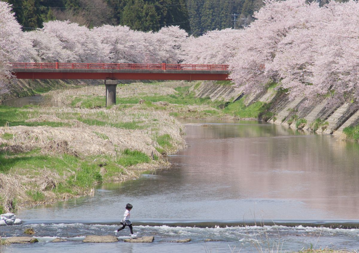 ふるどの桜街道（福島県）