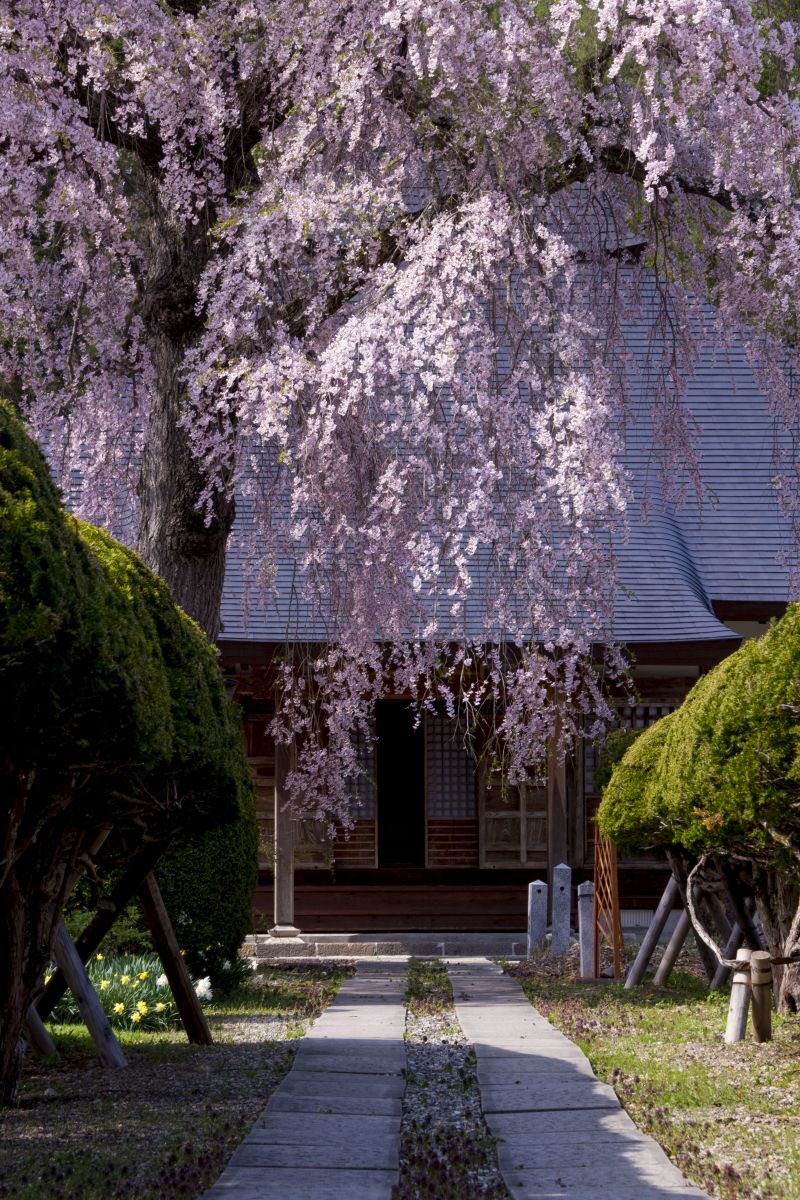 南泉寺（福島県）