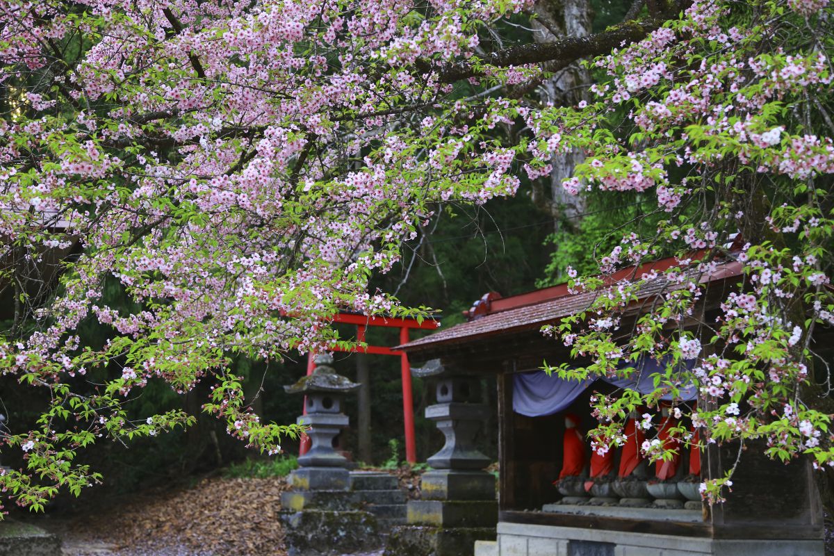 薬王寺