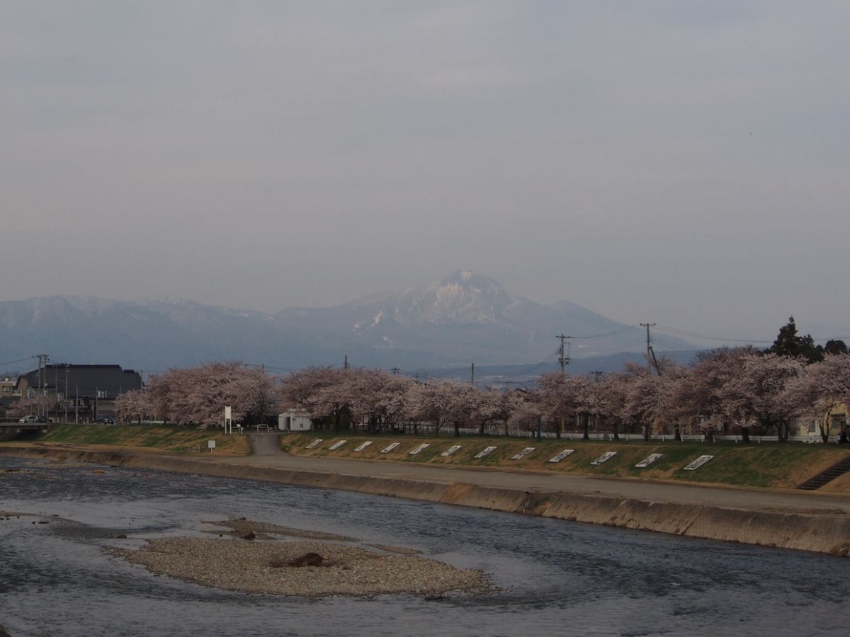 宮川千本桜（福島県）