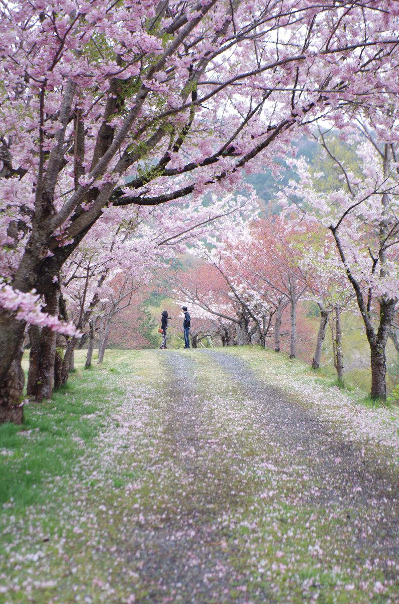 天鏡台 昭和の森（福島県）