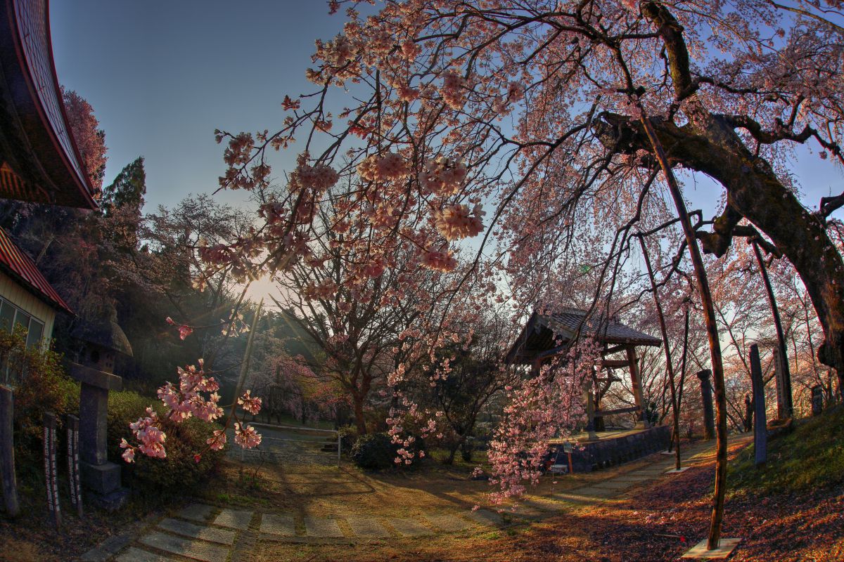 護真寺（福島県）