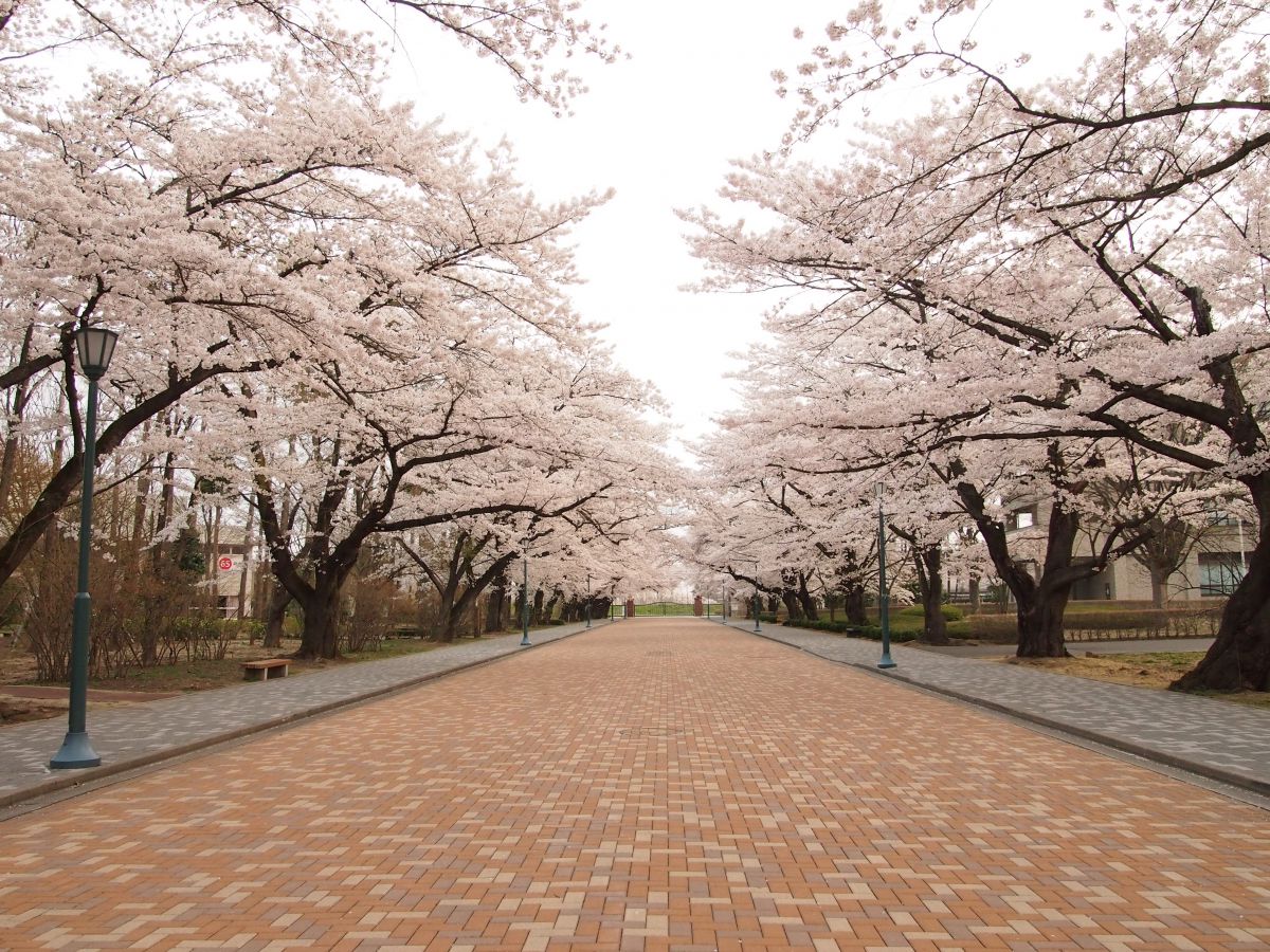 日本大学工学部