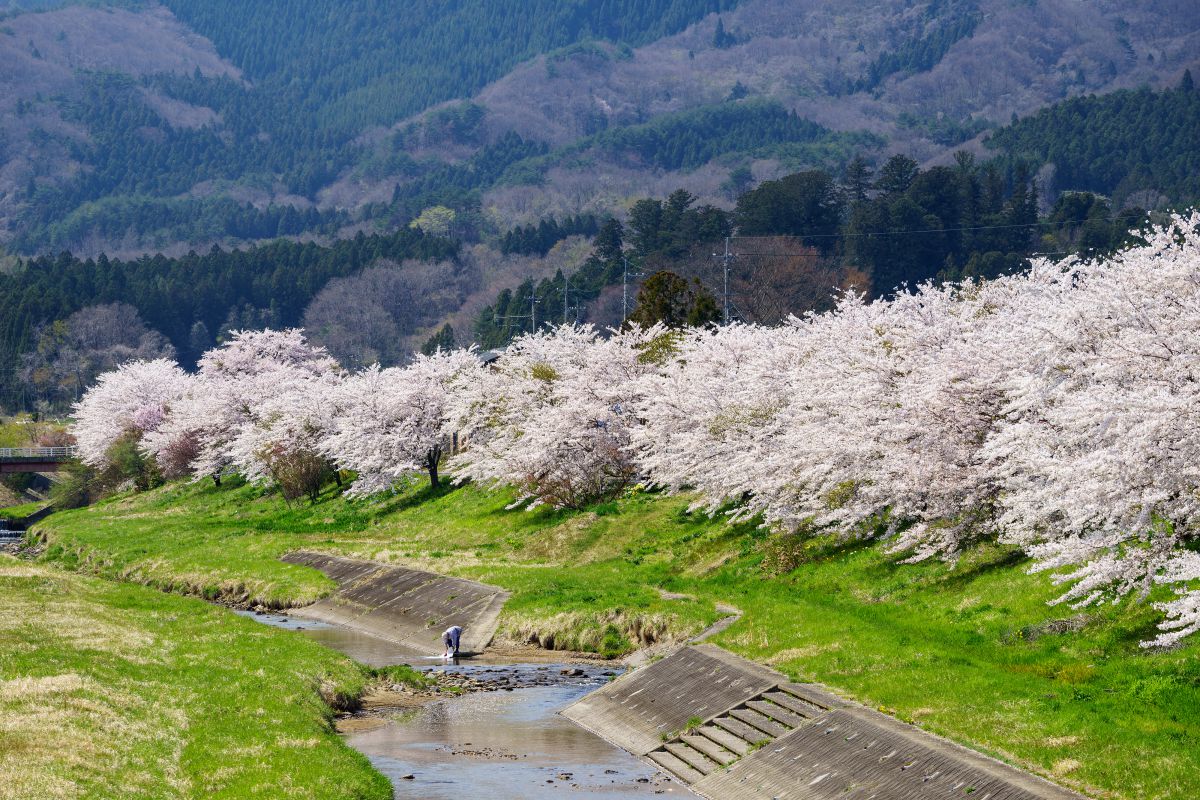 逢瀬川