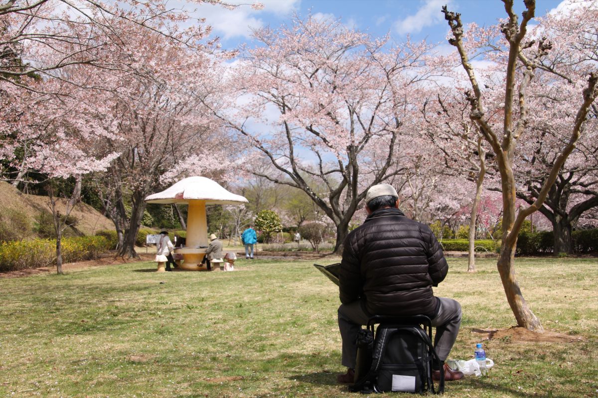 大畑公園