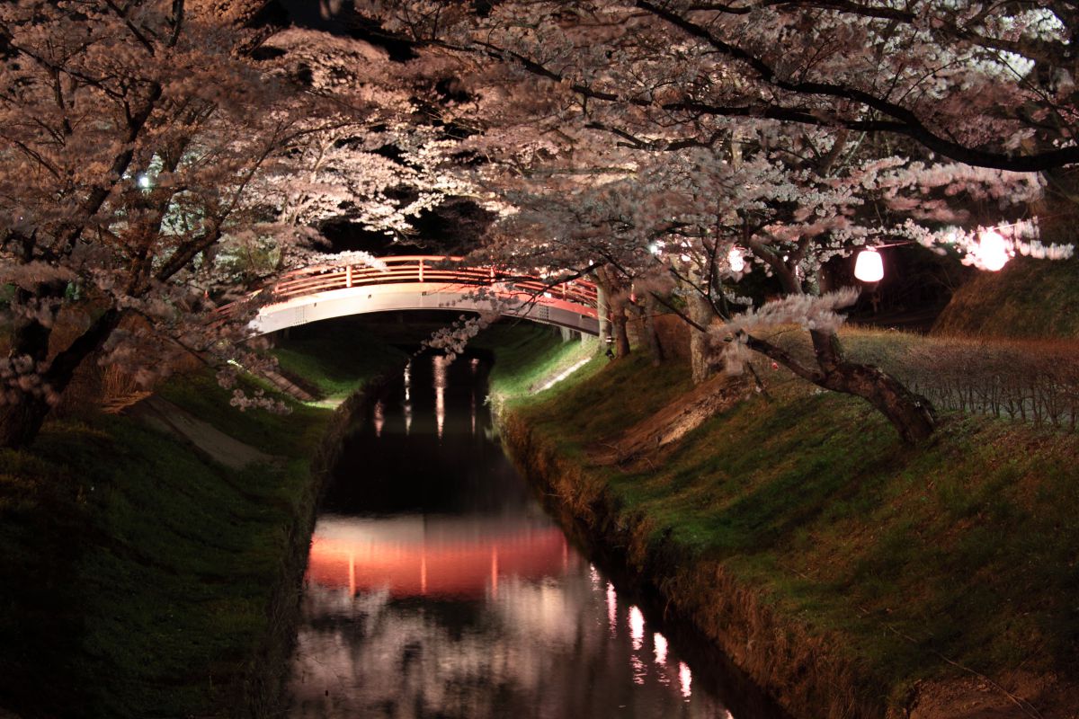 翠ヶ丘公園（福島県）