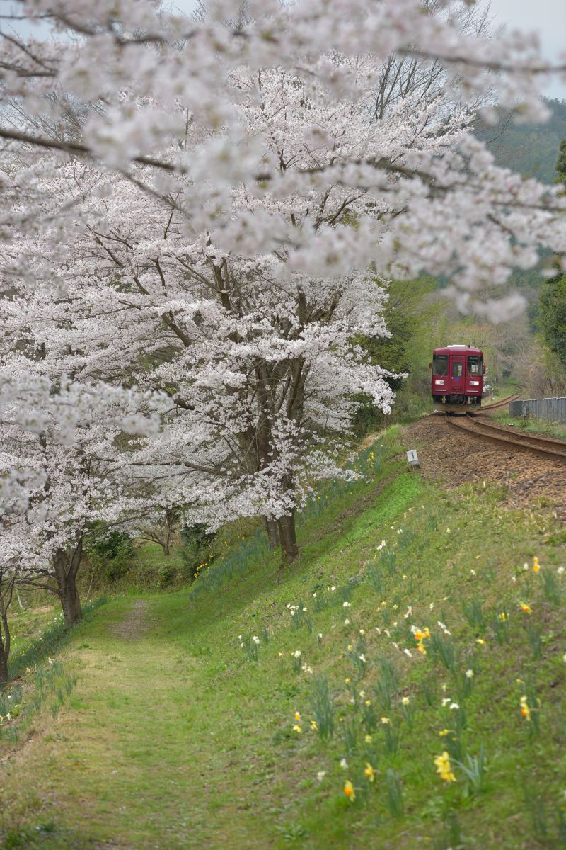 長良川鉄道