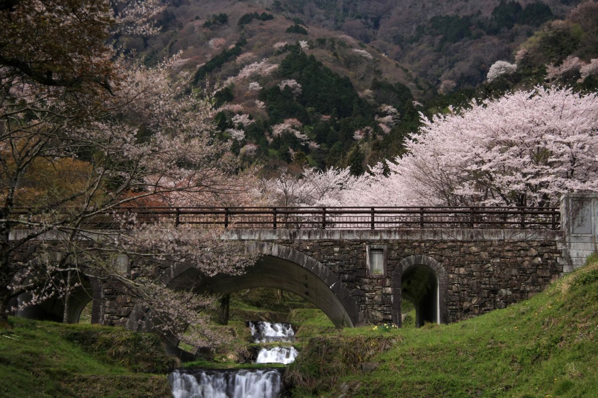 霞間ヶ渓（岐阜県）