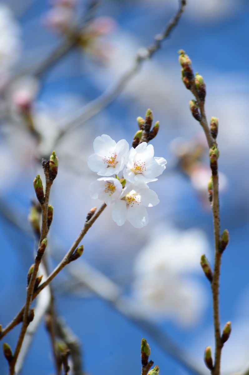 鬼岩公園（岐阜県）