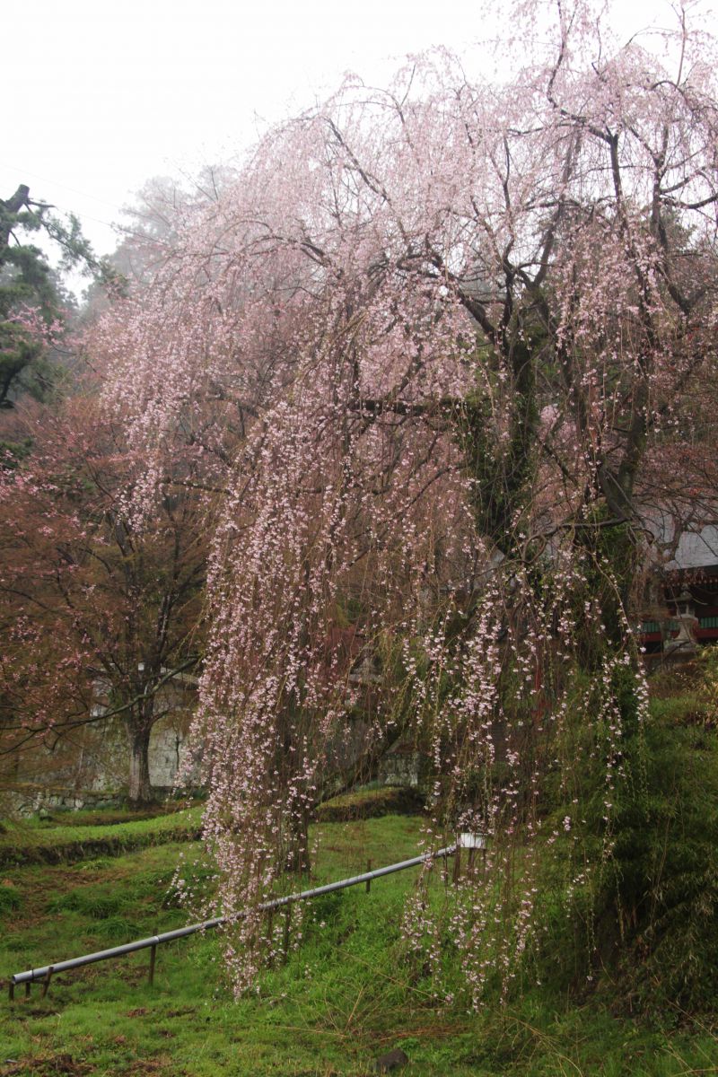 妙義神社