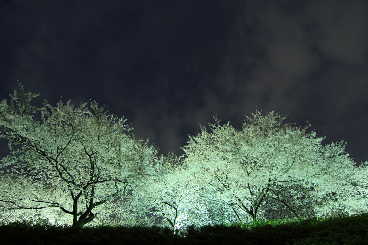 前橋公園（群馬県）