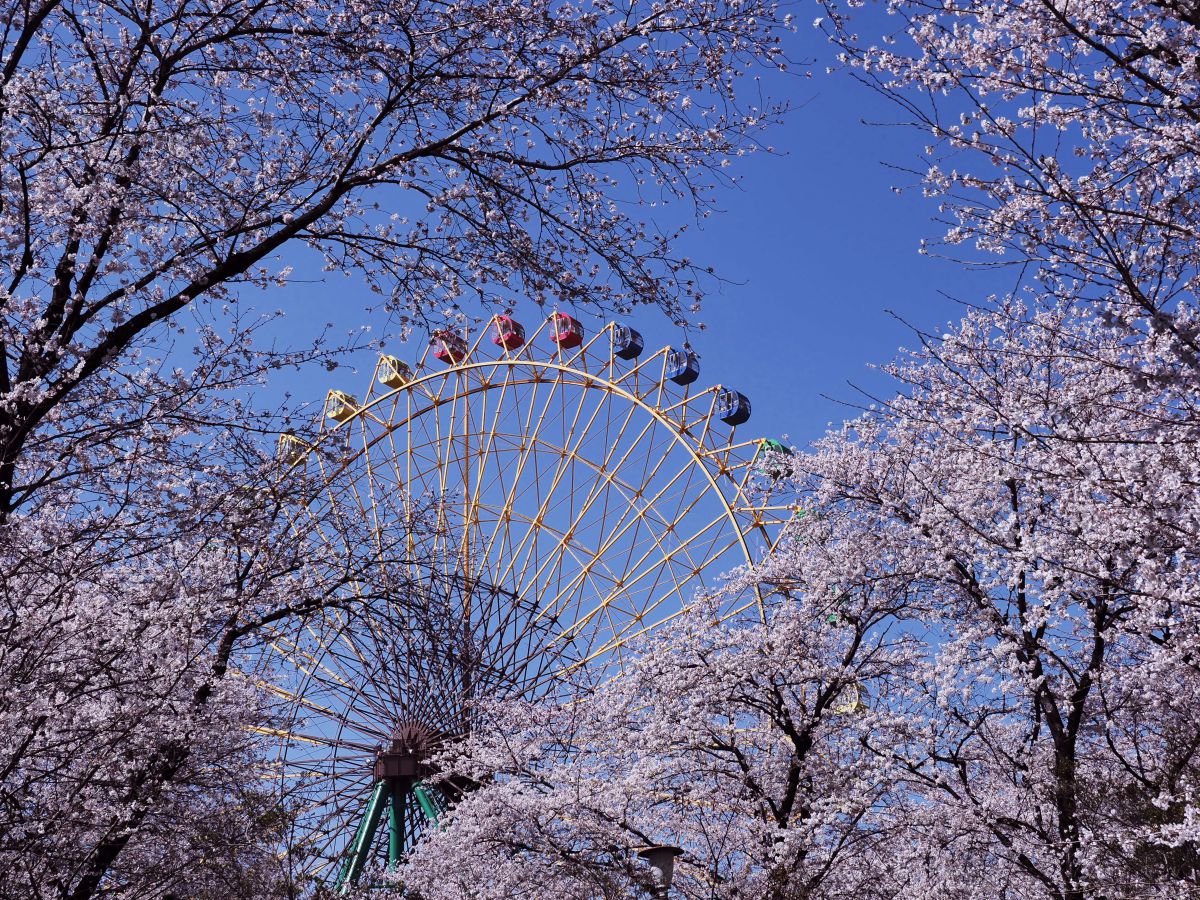 華蔵寺公園