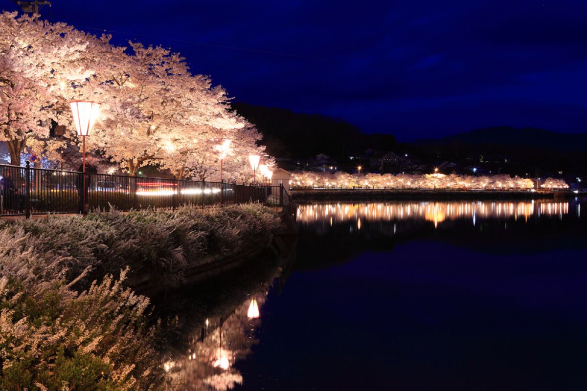 上野公園（広島県）