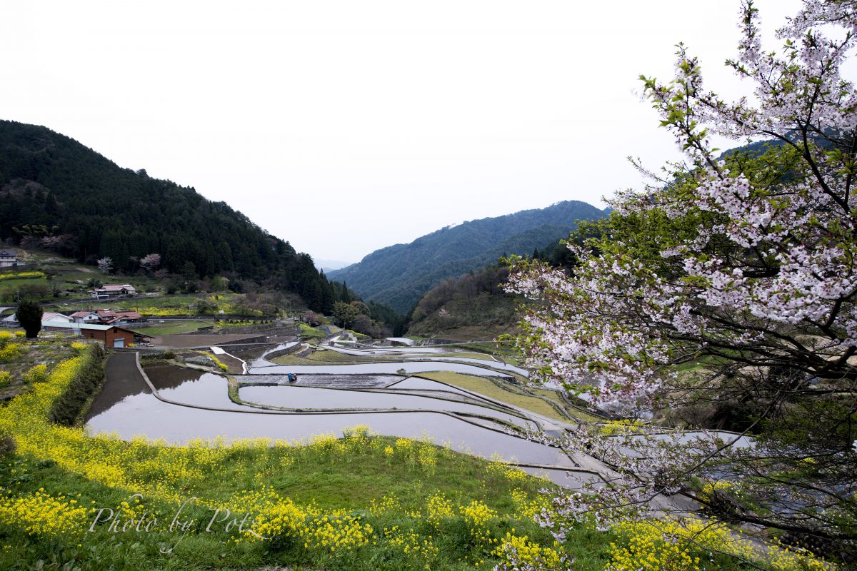 井仁の棚田（広島県）