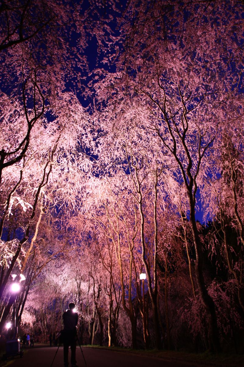 世羅　甲山ふれあいの里（広島県）