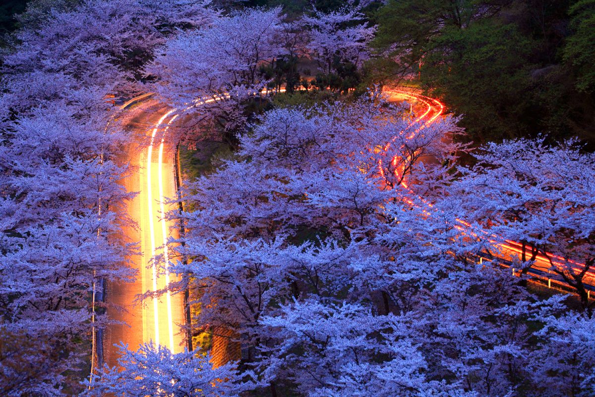 野呂山（広島県）