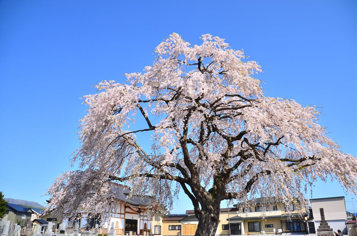 法亀寺