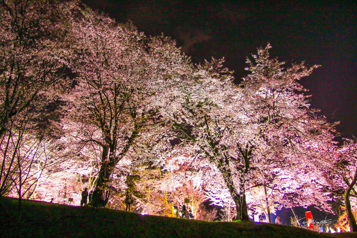 旭山公園
