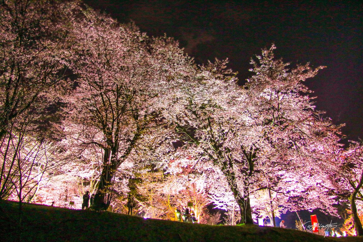 旭山公園