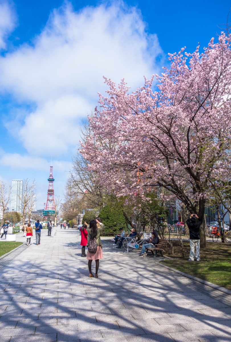 札幌 大通公園