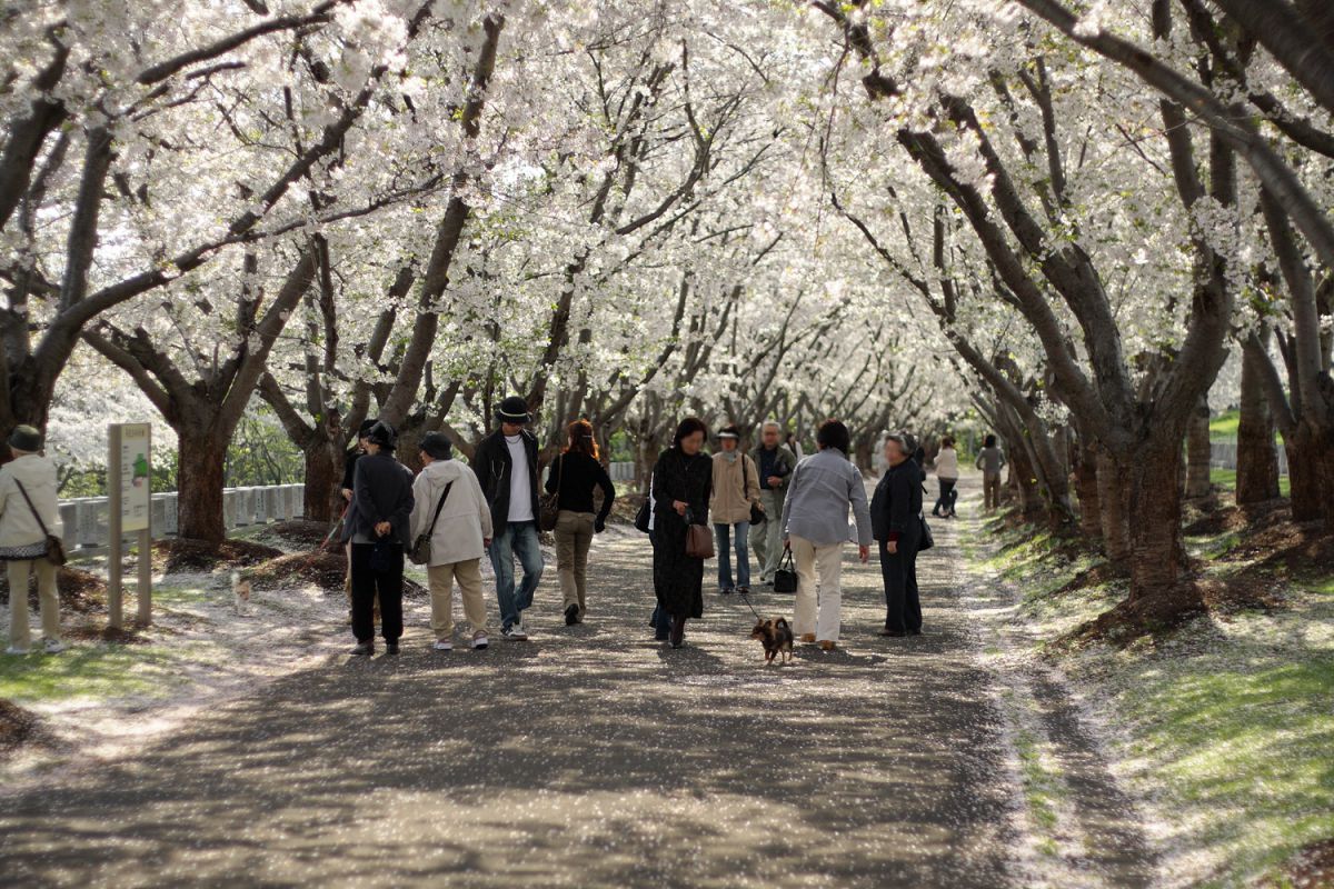 戸田記念墓地公園