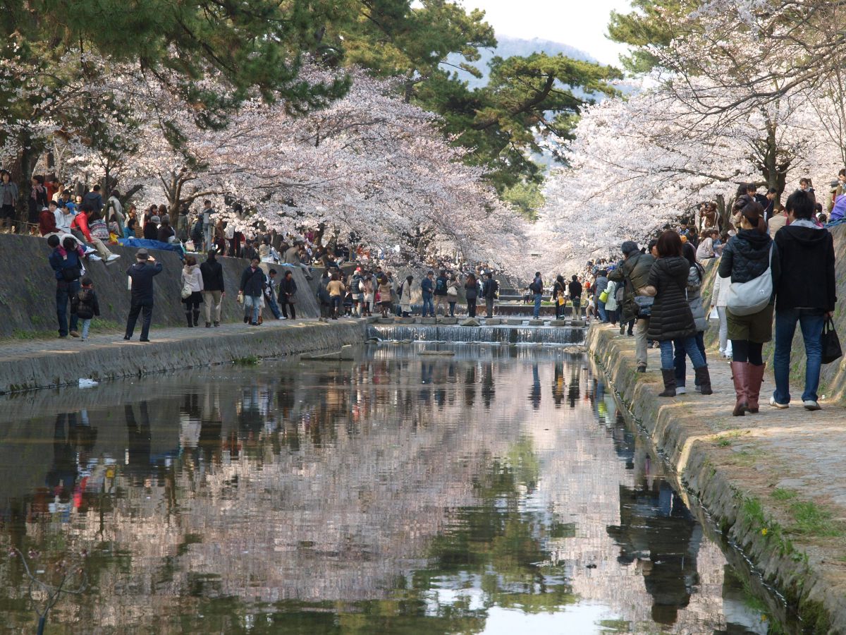 夙川公園