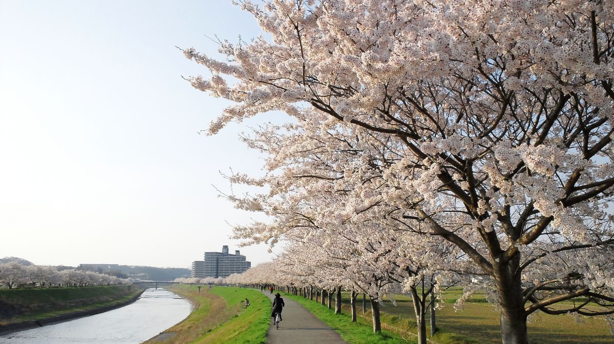 武庫川（兵庫県）