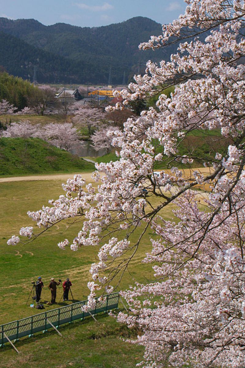 篠山城