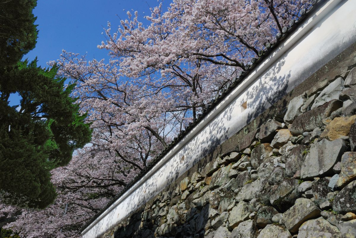 龍野城