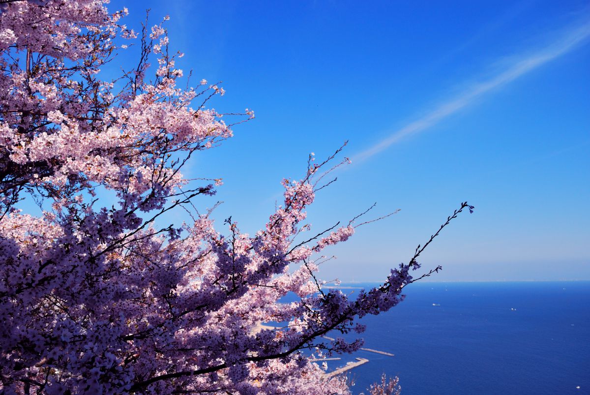 須磨浦山上遊園